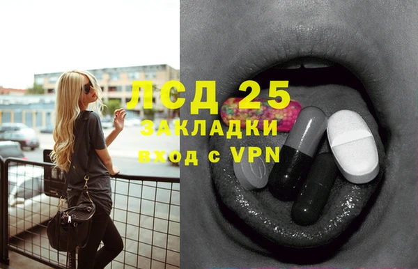спиды Верея