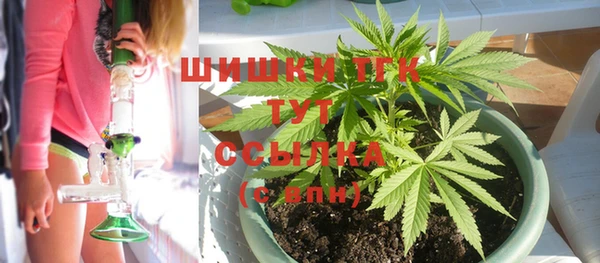 спиды Рославль