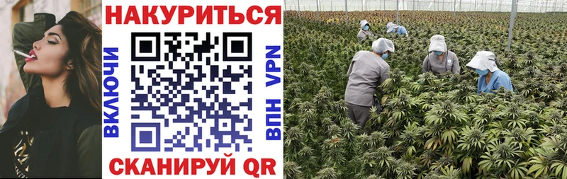 МЕГА сайт  Вязьма  Конопля SATIVA & INDICA 